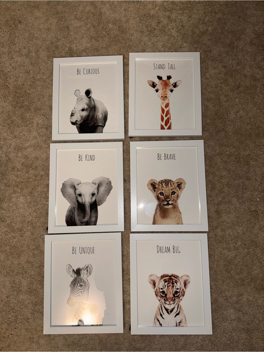 Set of 6 safari themed nursery photos
